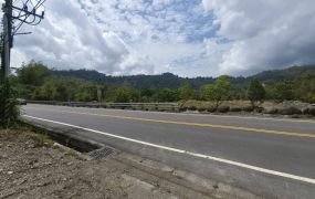 (專約)六龜妙崇寺公路邊農地