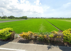 埤頭中科美田地