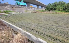 🎄台中大甲西濱快速道路旁生財農地🎄