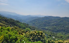 🏞 台中太平・黃竹坑 🌿 夢幻景觀農地釋出！