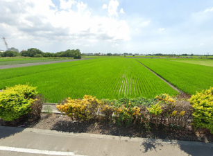 埤頭中科美田地