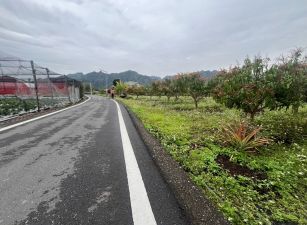 國姓近交流道商店全平農地