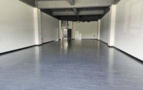 龍潭烏樹林工業區RC天車廠房•	大桃園廠房買賣/工業地/建地/徵收農地/廠房出租