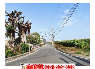 佳里延平國小建地+農地