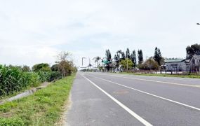 七股區20米路3.1分農地