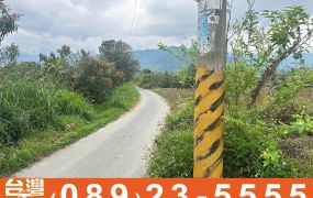 市382_豐田都計內7分大地坪