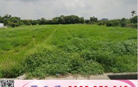 內壢近挑53一般農牧用地/桃園工業地廠房買賣租賃