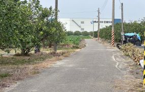 麻豆6.2分都內農地
