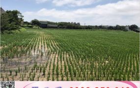 66快速道路旁農地/桃園工業地廠房買賣租賃