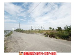 將軍巷口段793坪農地