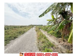 將軍巷口段455坪農地