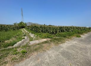 新營姑爺低價潛力農保農地