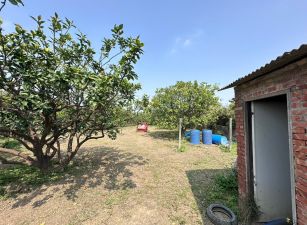 麻豆3.6分都內農地
