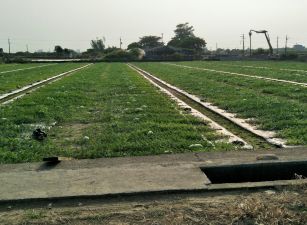 近善化肉品市場農地