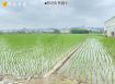 彰化東區擴大計劃土地∣售5300萬