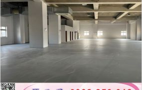 大園工業區全新氣派獨棟廠房(可依法廠登)