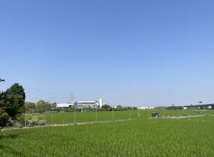 ❤️霧峰光明路農地