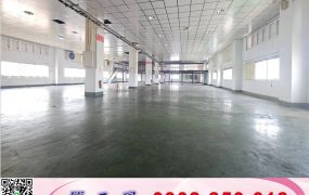 工業區SRC單層挑高廠房(可依法廠登)/桃園工業地廠房