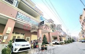 Lalaport震後臨路雙車美透天