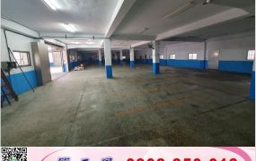 五股大路邊分租RC廠房/新北工業地廠房買賣租賃