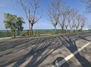 二崙雙面路大面寬6分美田