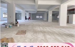 中壢工業區全新RC企業總部/桃園工業地廠房買賣租賃