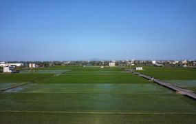 ★住商-張霞★山多利國五旁大面寬方正配建農地