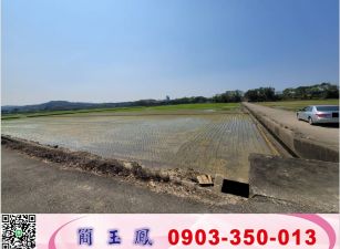 竹南雙面臨路農地