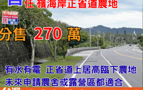 海農290_台東成功旁峻嶺海岸正省道農地