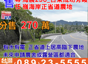 海農290_台東成功旁峻嶺海岸正省道農地