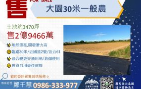 大園30米一般農