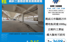 桃科三面臨路氣派挑高RC廠房