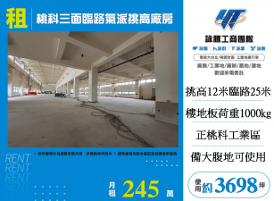 桃科三面臨路氣派挑高RC廠房