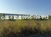 安南產業園區投資案