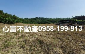 仁武大路邊賺錢農地