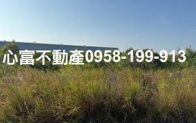 安南產業園區投資案