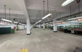 大園大腹地廠房-10米路-前有腹地大貨車上下貨方便