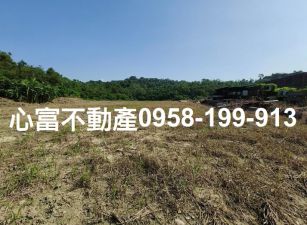 仁武大路邊賺錢農地