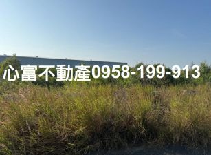 安南產業園區投資案