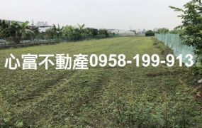 大寮東隆街農地出售(近88、大發、萬大)