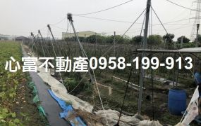 大寮漂亮農地出售219坪