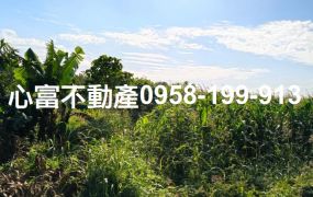 麻豆近國道便宜農地