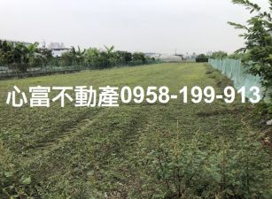 大寮東隆街農地出售(近88、大發、萬大)