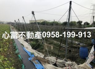 大寮漂亮農地出售219坪