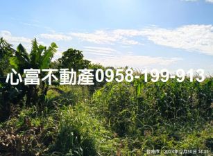 麻豆近國道便宜農地