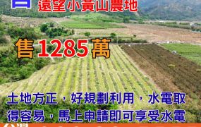 市農383_卑南利吉天境遠望小黃山農地
