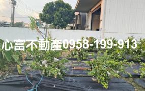 大社和平路農地10米路上