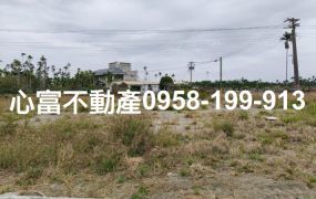 竹田近88下漂亮臨路農地