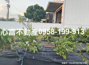 大社和平路農地10米路上