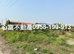 阿蓮雙面路農地~地主誠意出售